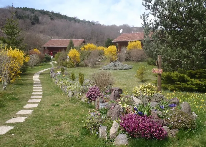 Les De La Vigne Grande Шале Сен-Флорет